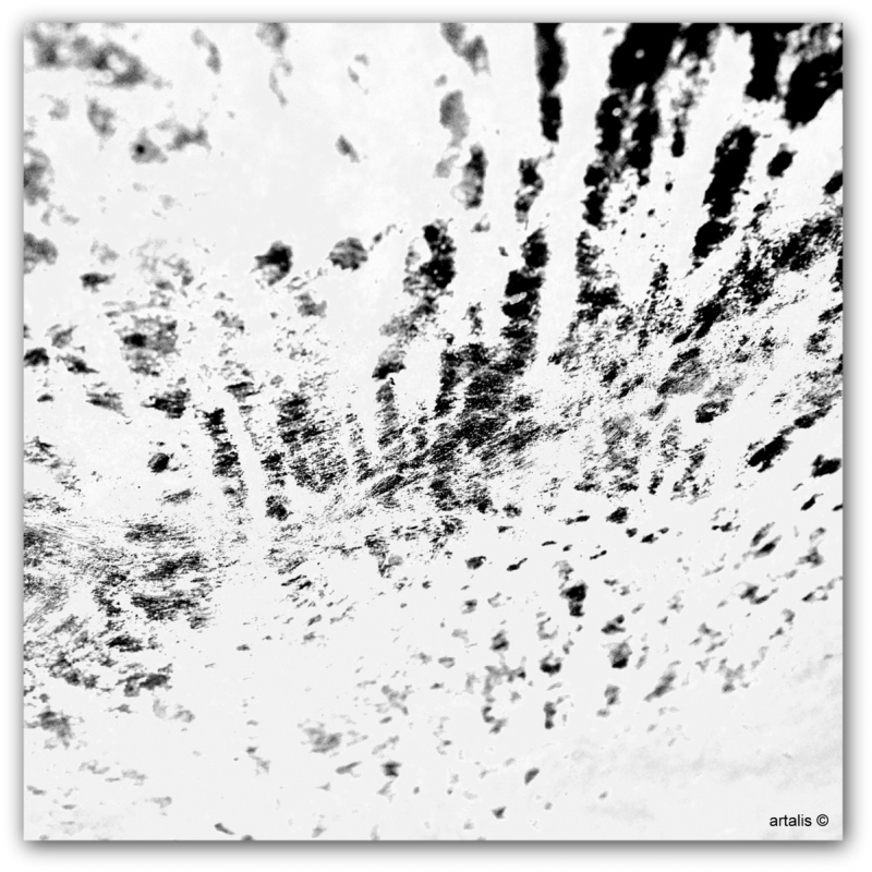 artalis ©