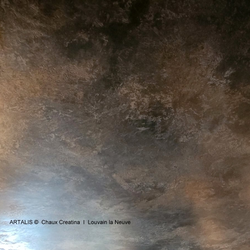 ARTALIS  c Creatina ARTALIS Chaux Creatina